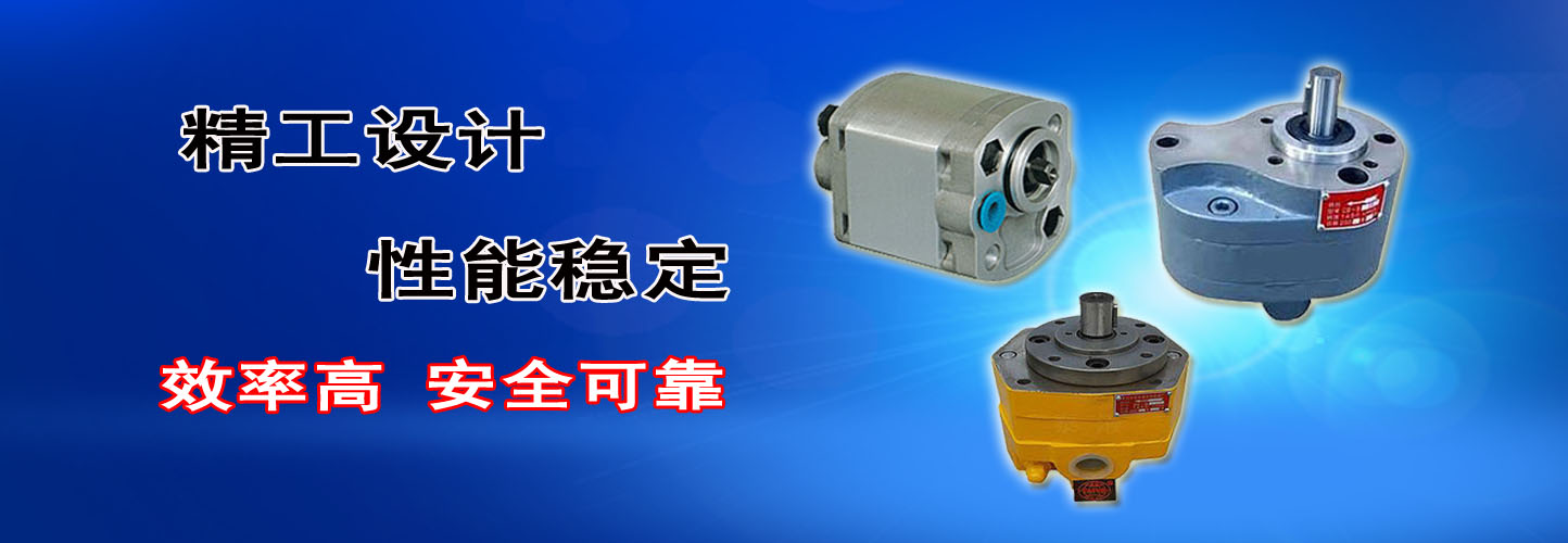 潤滑油泵,不銹鋼齒輪泵,變量葉片泵,泰興市泰慶液壓件廠